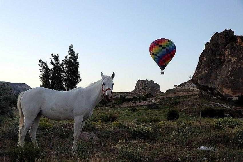 Kapadokya’da gökyüzü balonlarla renklendi