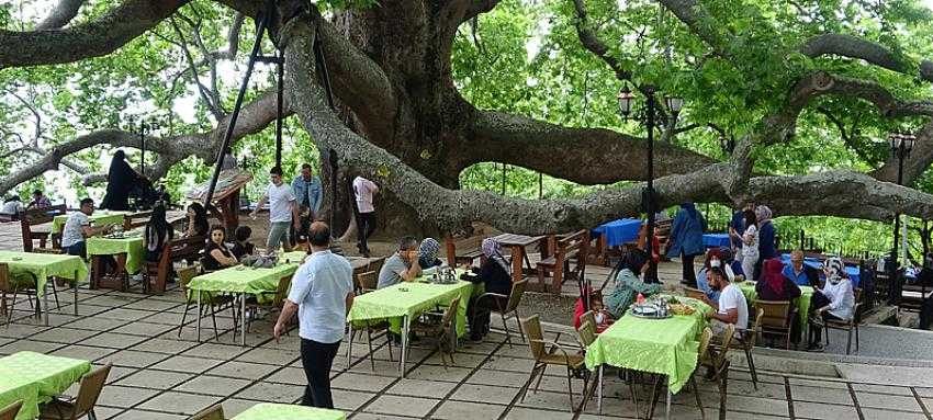 Bursa