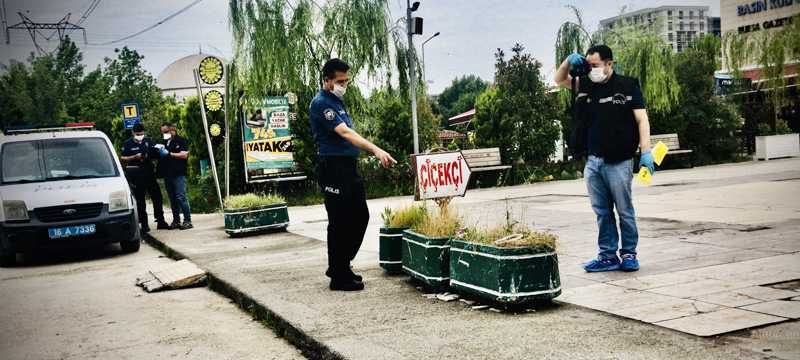 Bursa