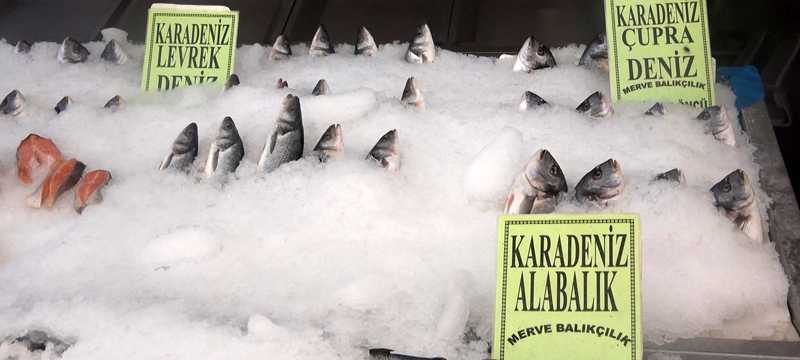 Koronavirüs balık satışlarını artırdı...