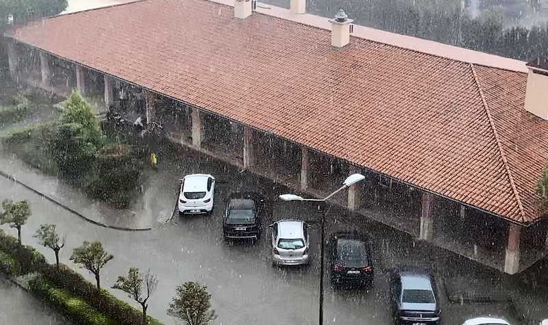 Bursa