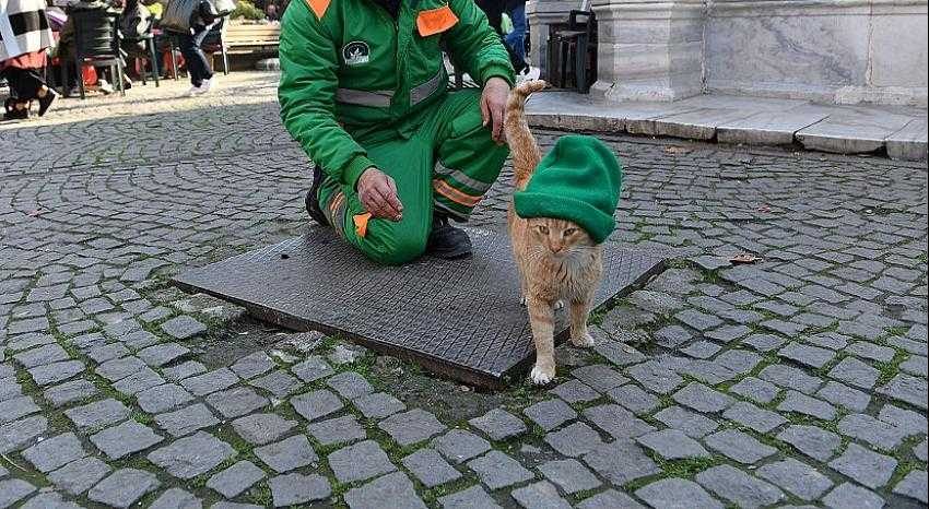 Bursa