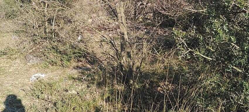 Bursa’da kimliği belirsiz ceset bulundu
