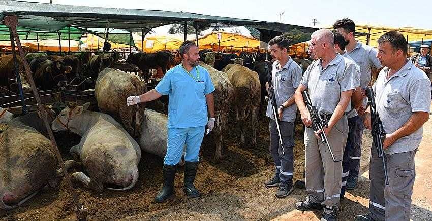 Kurban yakalama timi bayrama hazır