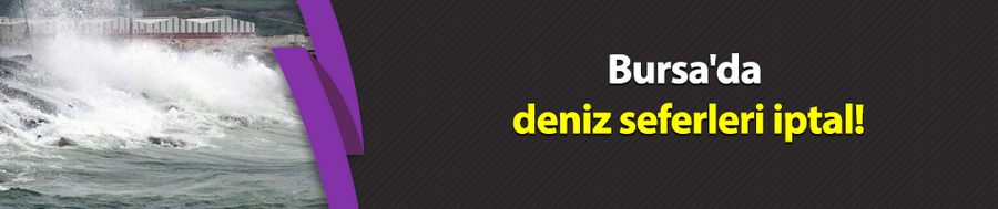 Bursa
