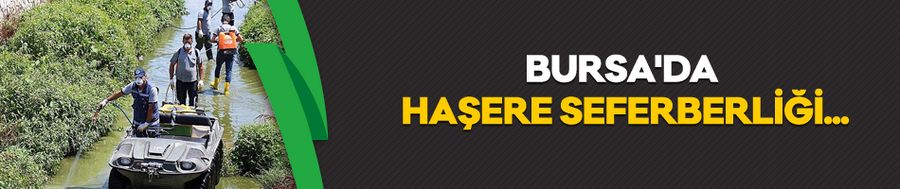 Büyükşehir