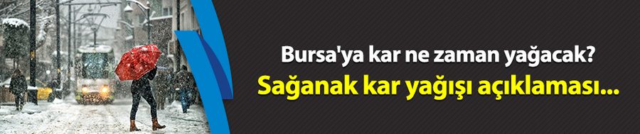 Bursa