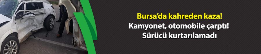 Bursa