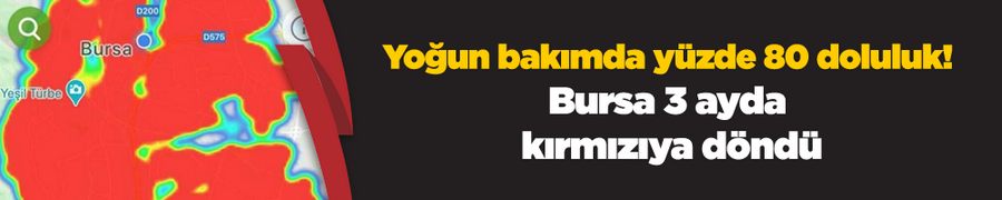Bursa