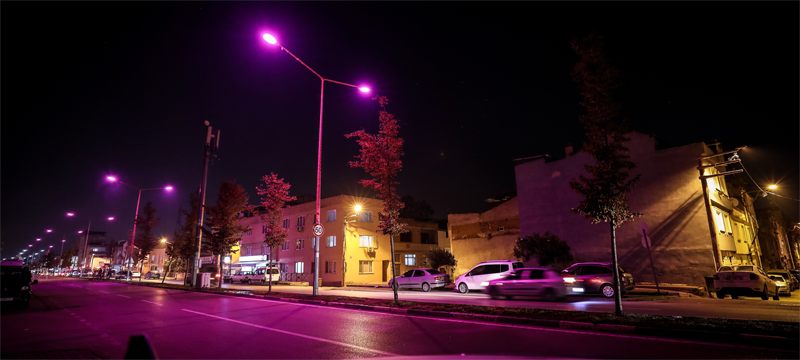 Bursa