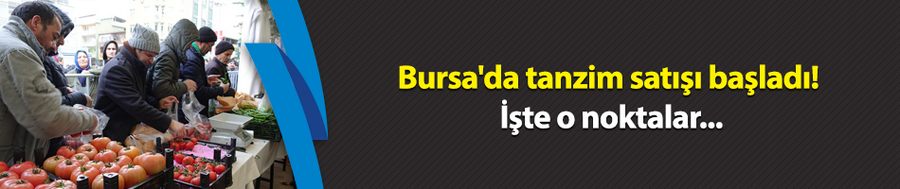 Bursa