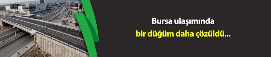 Bursa