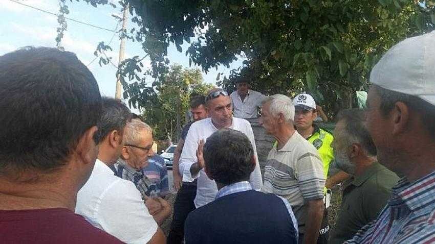 Bursa