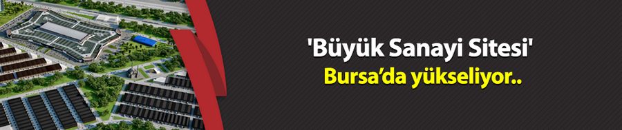 Bursa