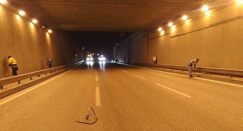 Büyükşehir