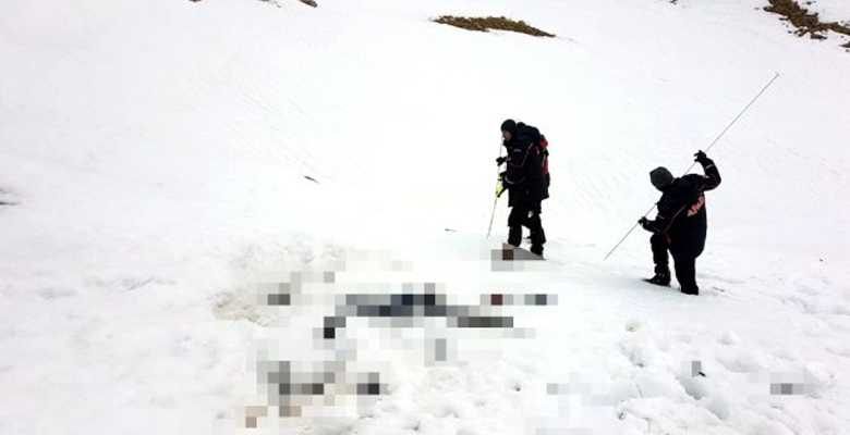 Çaldıran kırsalında 7 kaçak göçmenin cesedine ulaşıldı
