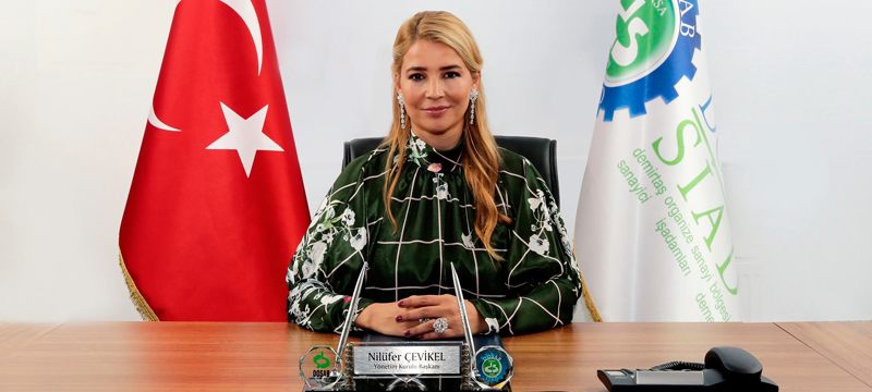 Çevikel: Millet iradesi hain girişimi bir destana çevirdi