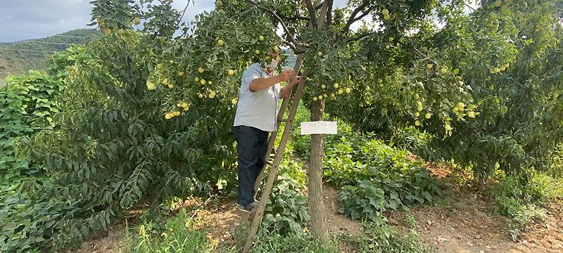 Bursalı çiftçiden örnek hareket