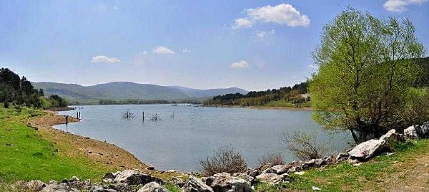 Bursa