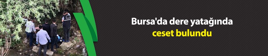 Bursa