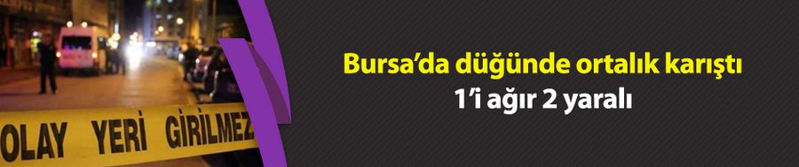 Bursa