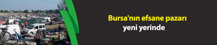 Bursa