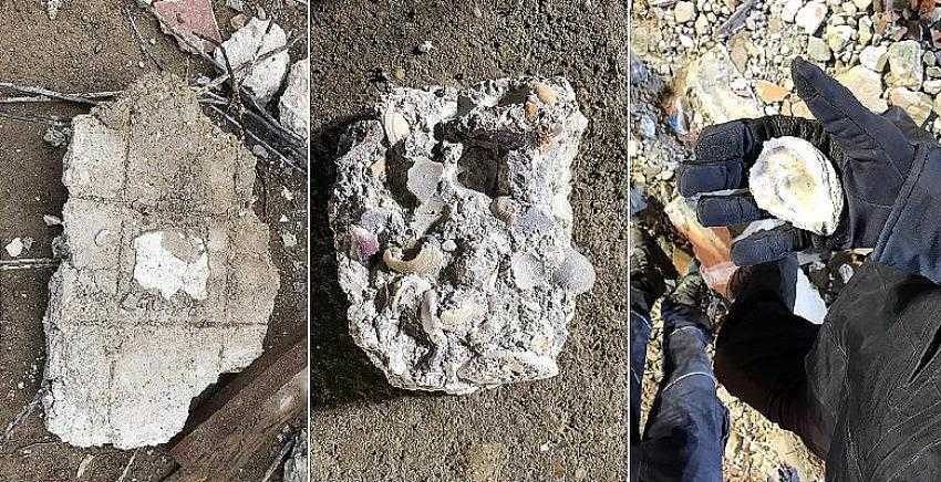 Enkazdan deniz kumu ve deniz kabuğu çıktı
