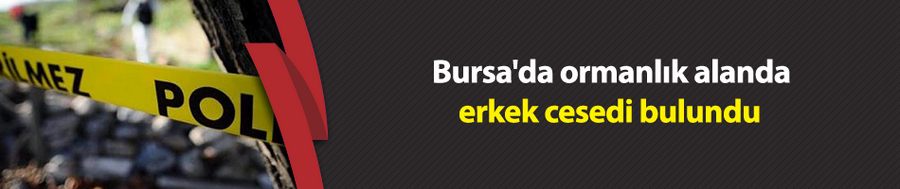 Bursa