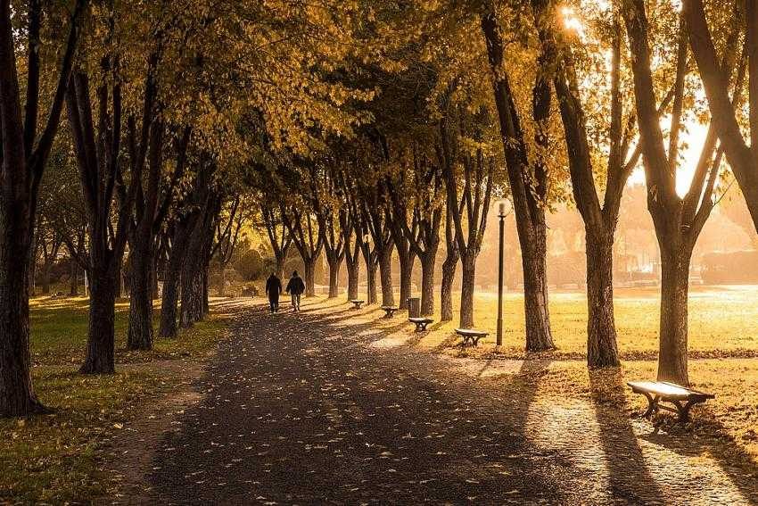 Bursa’nın ‘Güz’ fotoğraflarına ödül yağdı