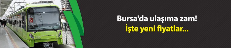 Bursa