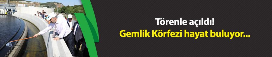 Gemlik Körfezi hayat buluyor