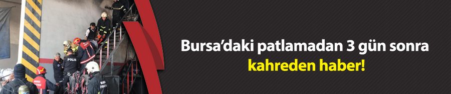 Bursa