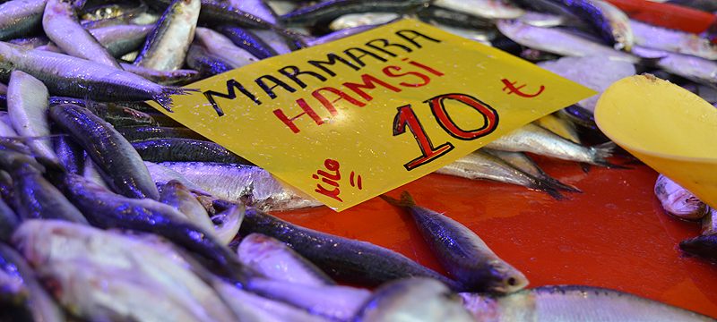 Hamsi fiyatları arasında anormal fark