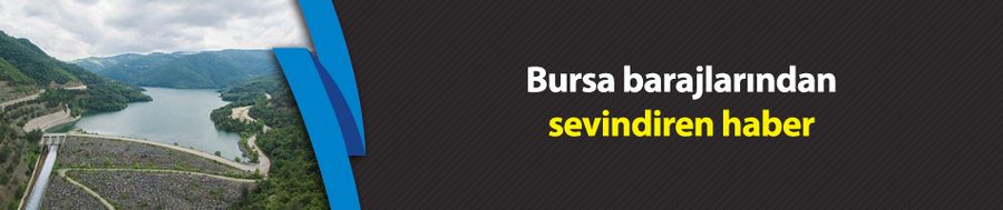 Bursa
