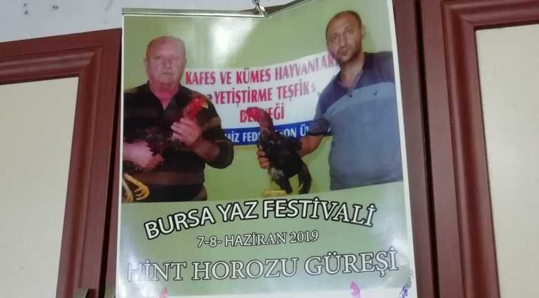 Bursa
