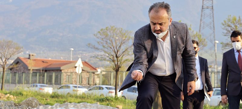 Bursa