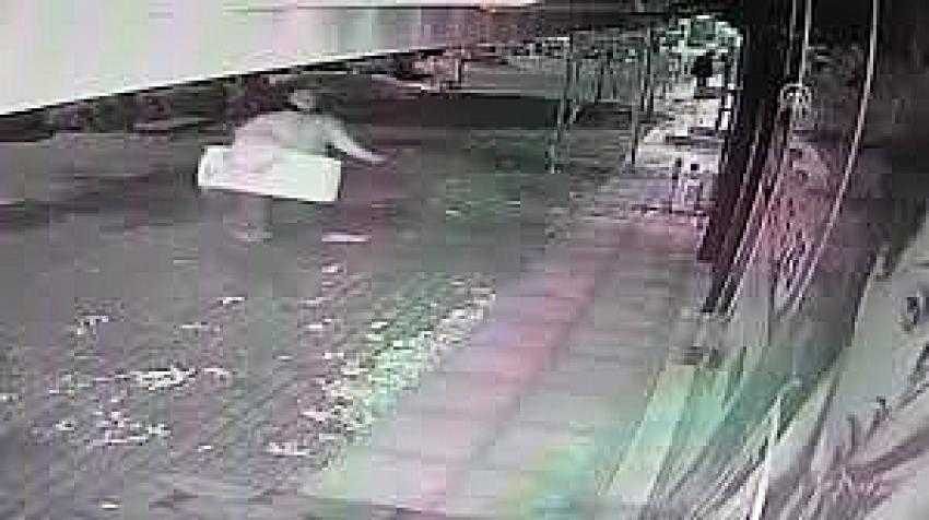 Üzerindeki montu üşüyen sokak köpeğiyle paylaştı