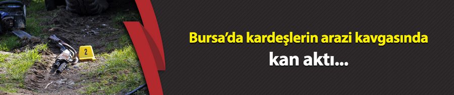 Bursa
