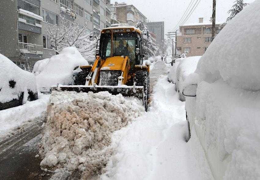 Bursa