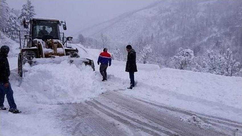 Bursa