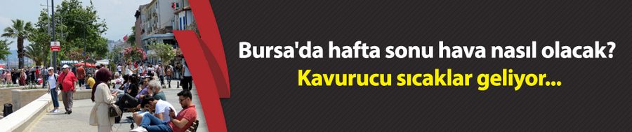 Bursa