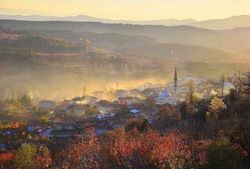 Bursa