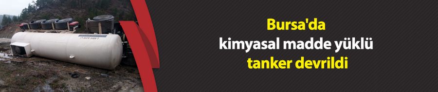 Bursa