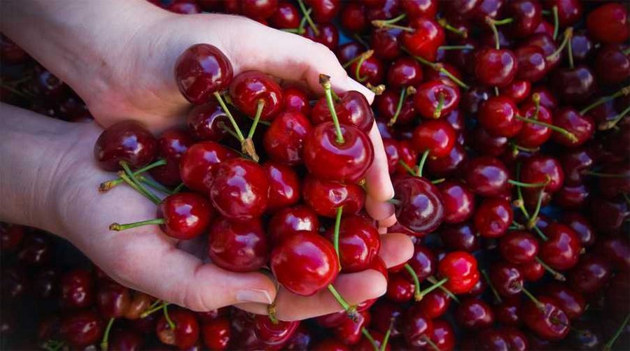Kirazın fiyatı 85 liradan 10 liraya düştü