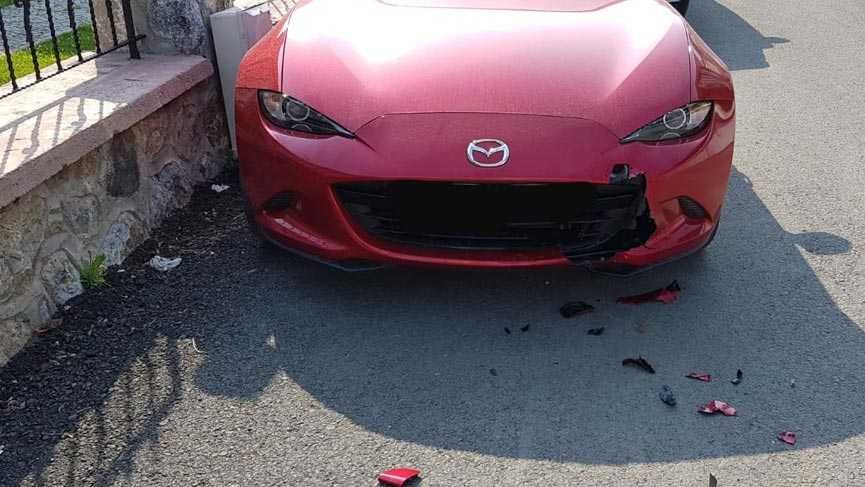 Köpekler lüks otomobili parçaladı
