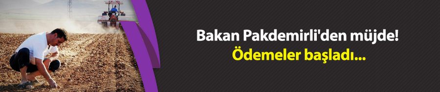 Bakan Pakdemirli