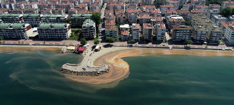 Mudanya