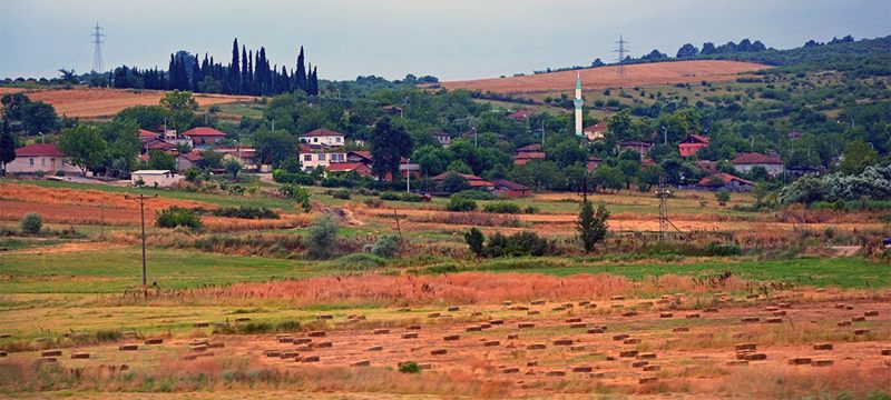Salgın endişesi duyan muhtar: İşi olmayan gelmesin”