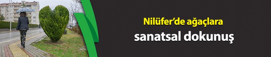 Nilüfer’de ağaçlara sanatsal dokunuş