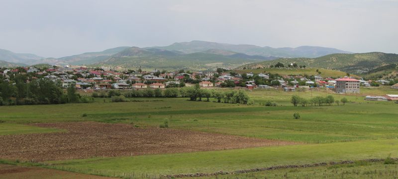 O köy akıllara geldi, 5 yıl önce 40 araçlık para kazanılmıştı